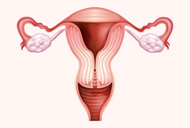 Fisioterapia nas Disfunções Pélvicas Femininas e na Sexualidade
